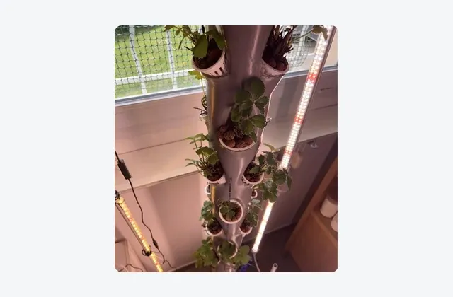 The tower running against a window: a vertical column with strawberry plants in printed pots up its height, lit either side by two LED grow bars.